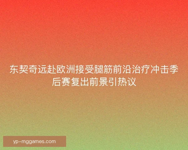 东契奇远赴欧洲接受腿筋前沿治疗冲击季后赛复出前景引热议